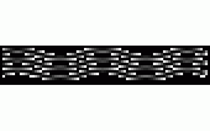 创造钢结构智能焊接新历史 卡诺普&ldquo;焊&rdquo;然出击